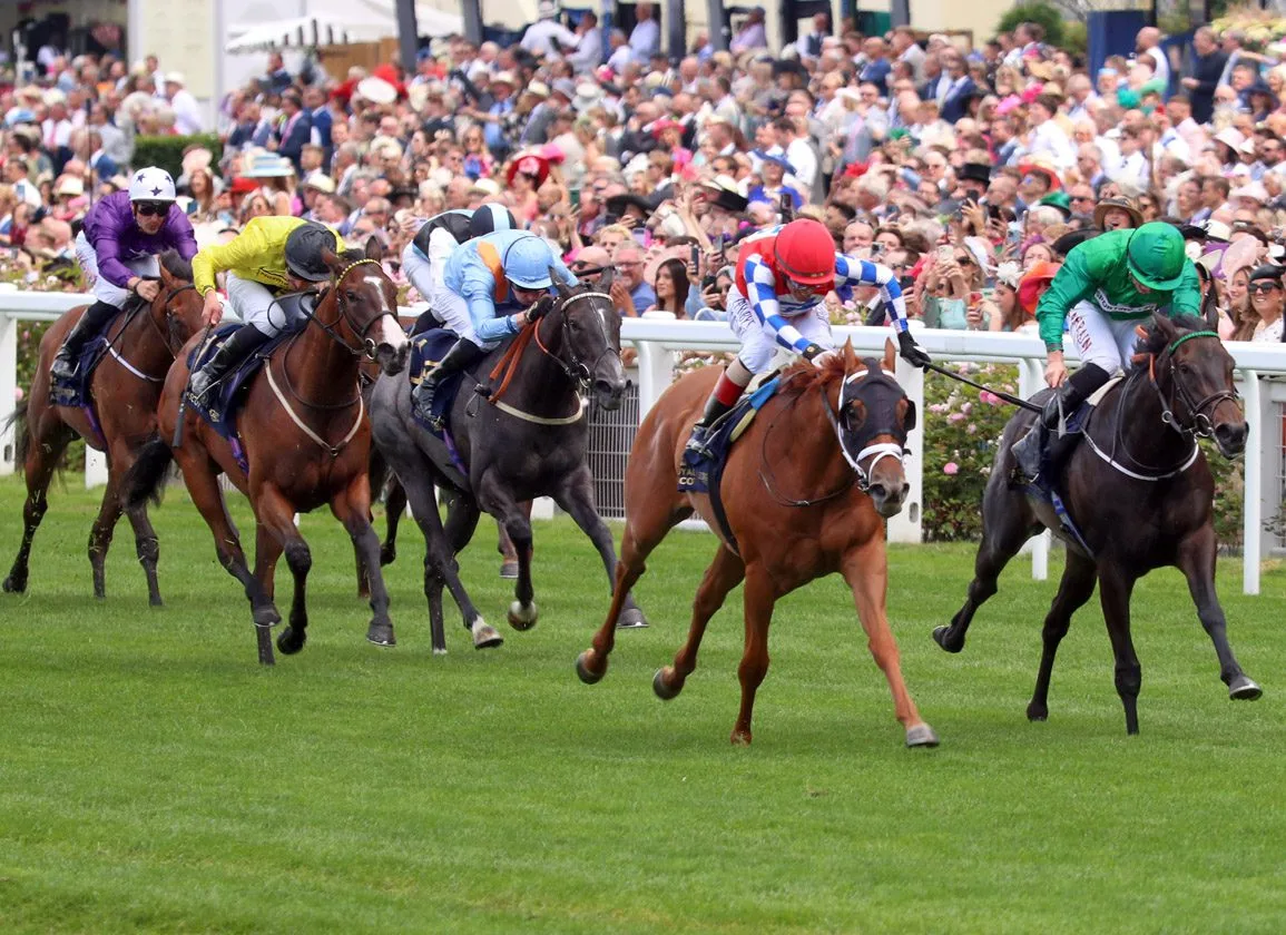 隆尚赛马场：凯旋门大赛的主场 - 球友会