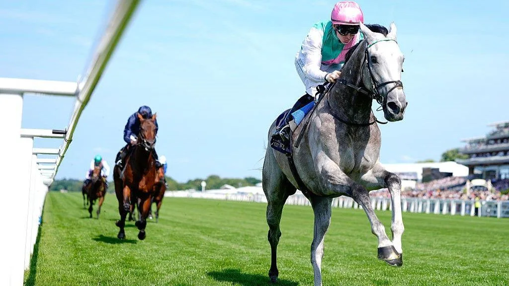 今日焦点赛事头号热门 - 赛马分析 - 球友会