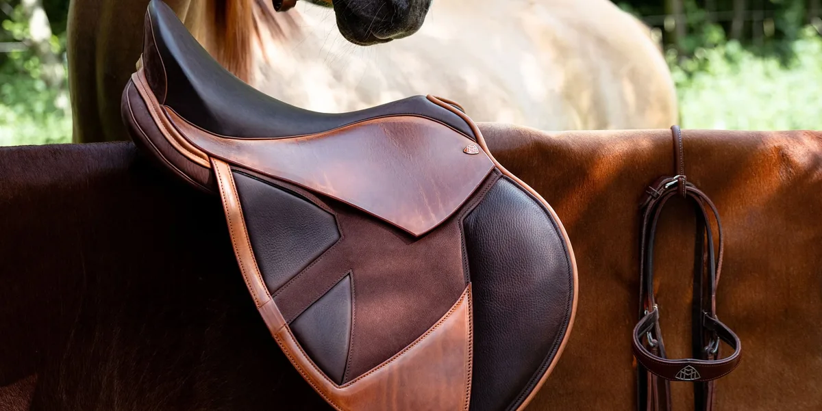 母系血统的隐藏价值 - 球友会