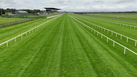 血统与赛道适性的关联分析 - 球友会